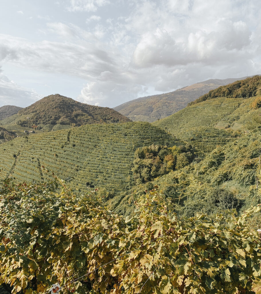 Strada del Prosecco