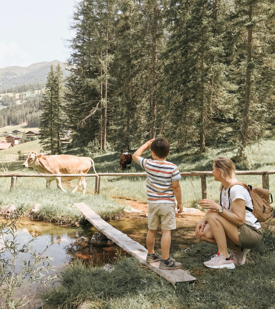 Family Resort Rainer
