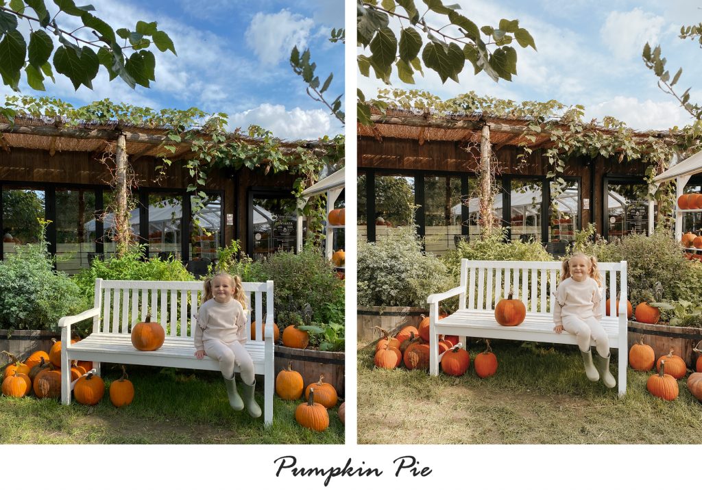 Preset editing foto