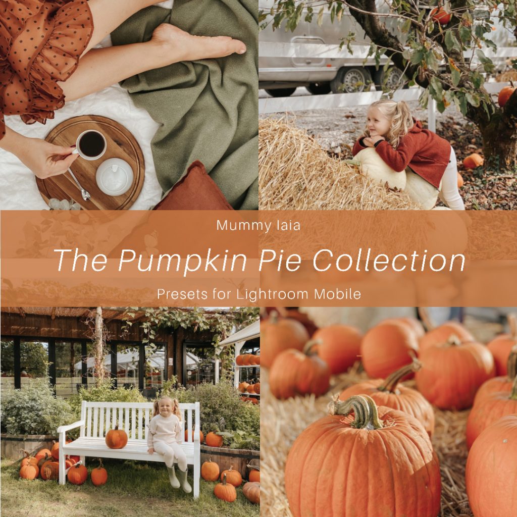 The Pumpkin Pie Collection Preset